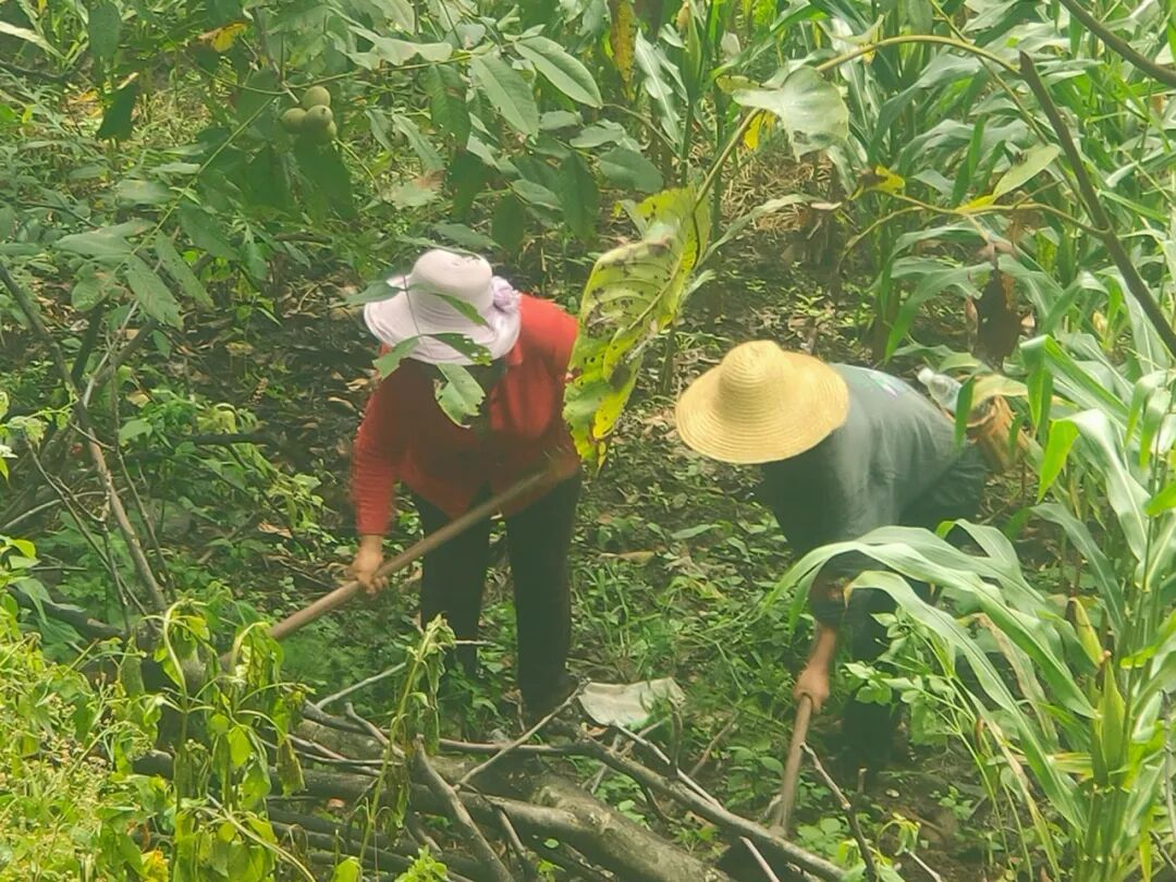 世界杯怎么在手机上买球