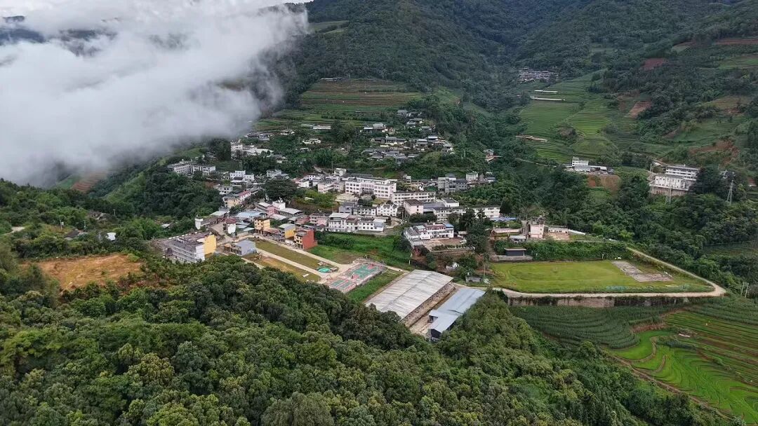 世界杯怎么在手机上买球