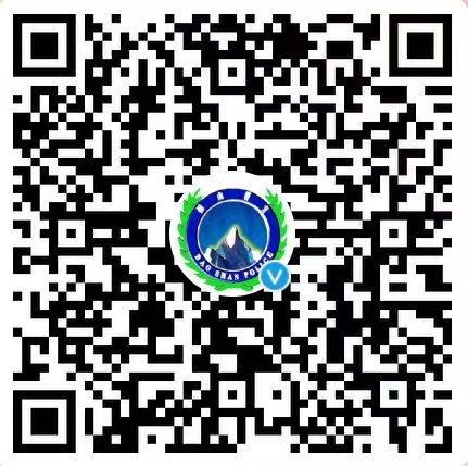 世界杯怎么在手机上买球
