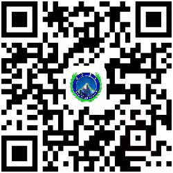 世界杯怎么在手机上买球