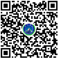 世界杯怎么在手机上买球