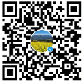 世界杯怎么在手机上买球